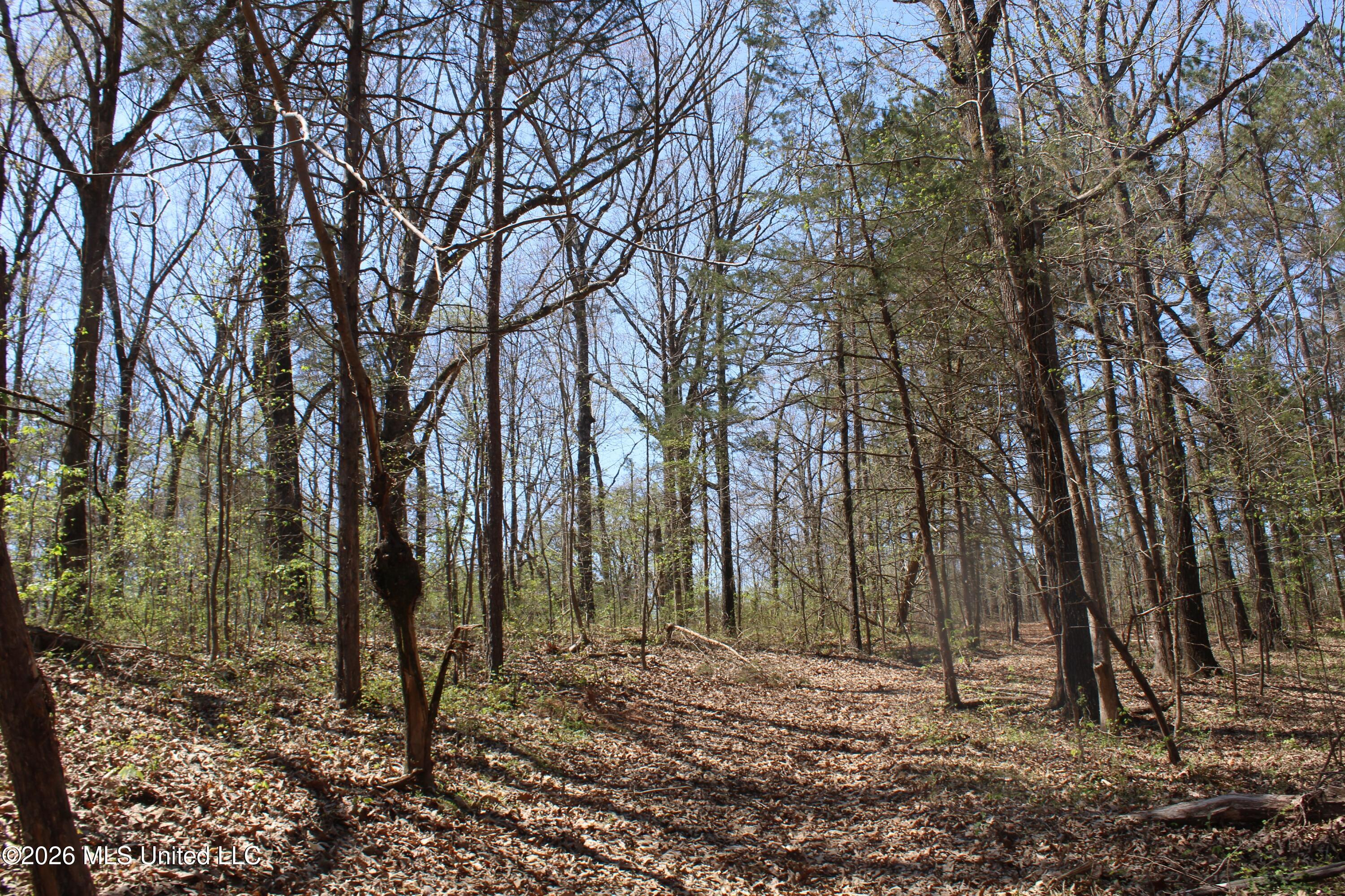 1200 Pottery Road Michigan City, MS 38647 - Photo 42 of 43 IMG_7638