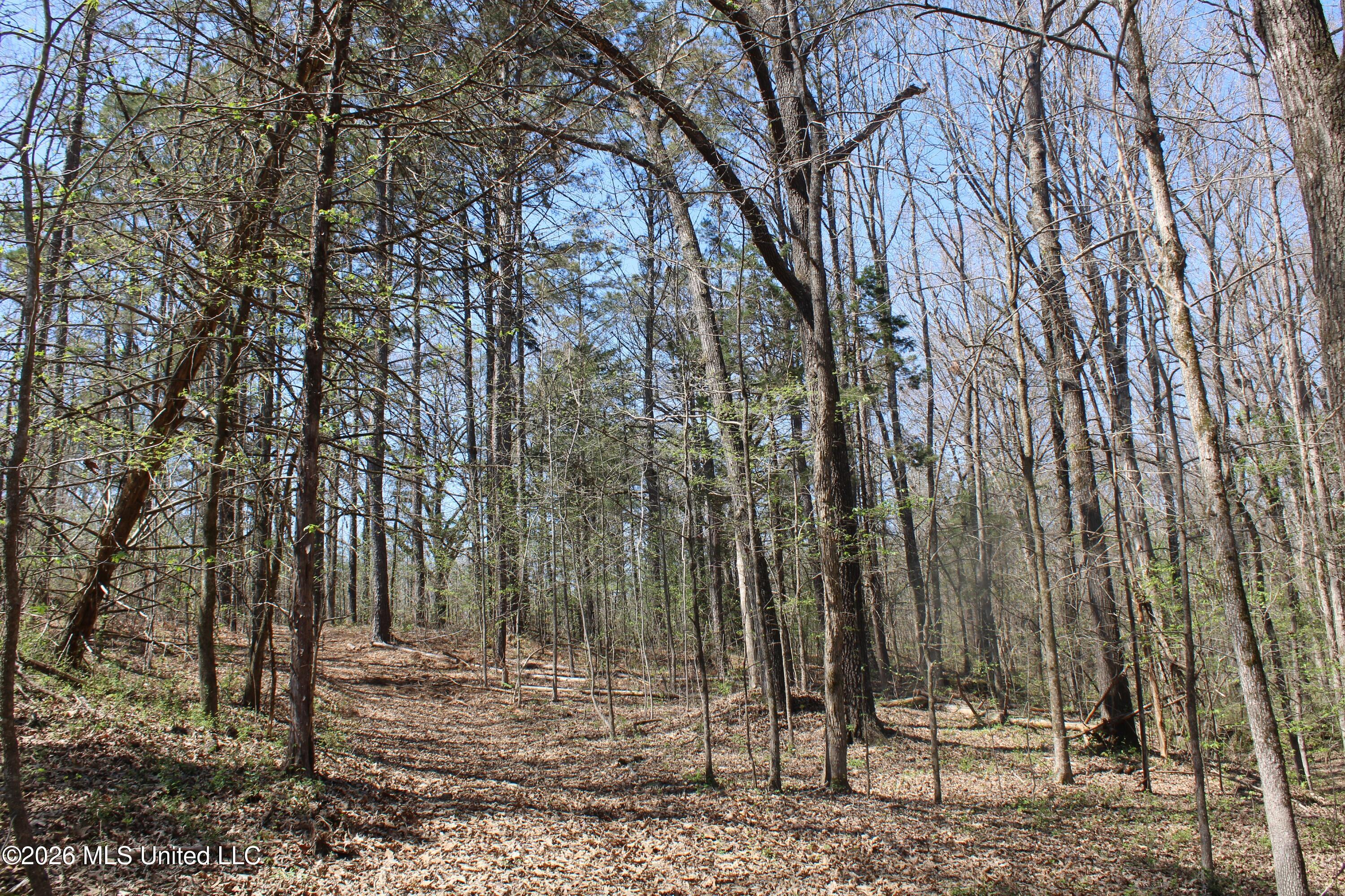 1200 Pottery Road Michigan City, MS 38647 - Photo 43 of 43 IMG_7639