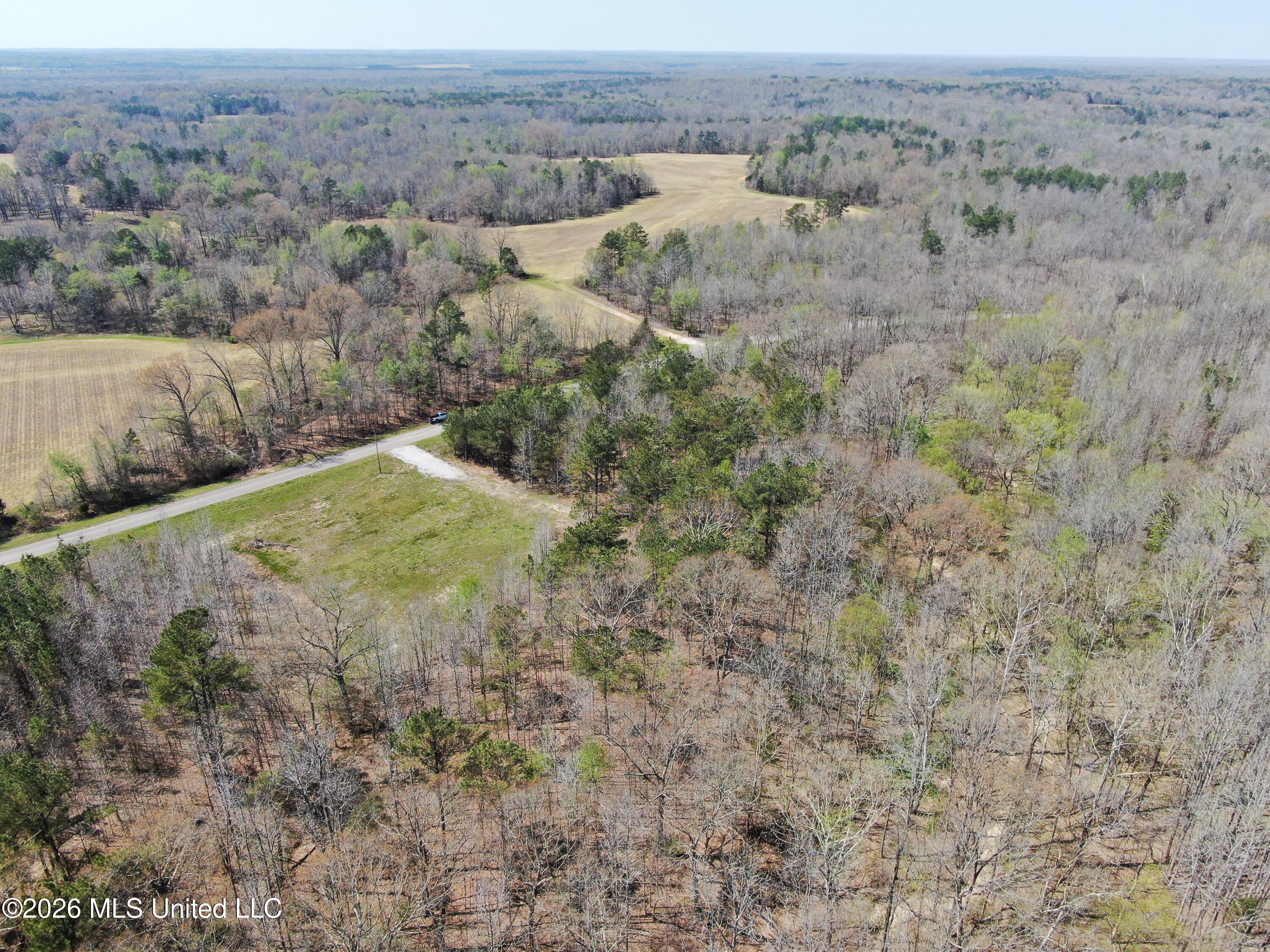 1200 Pottery Road Michigan City, MS 38647 - Photo 5 of 43 DJI_0890