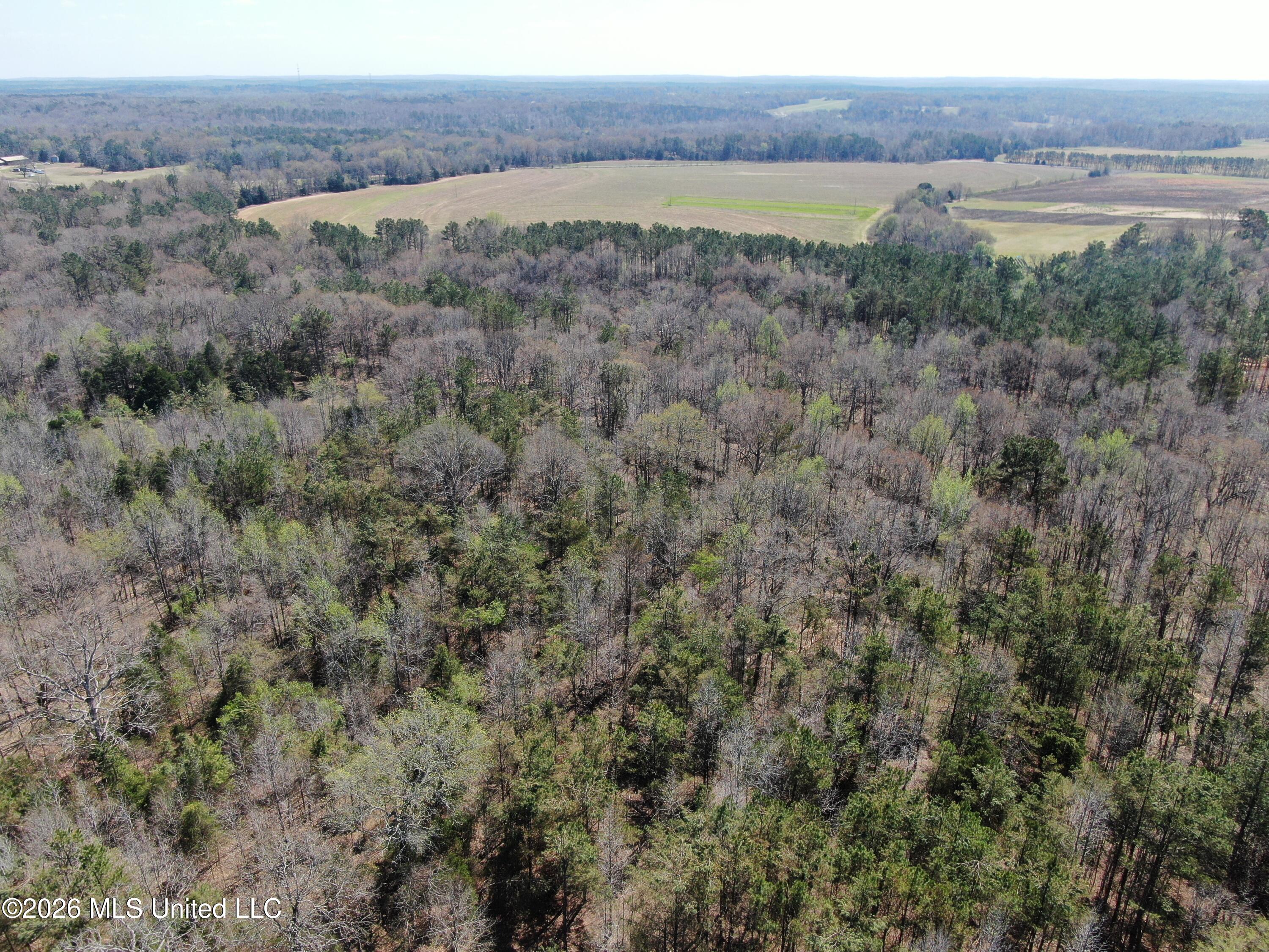 1200 Pottery Road Michigan City, MS 38647 - Photo 6 of 43 DJI_0891