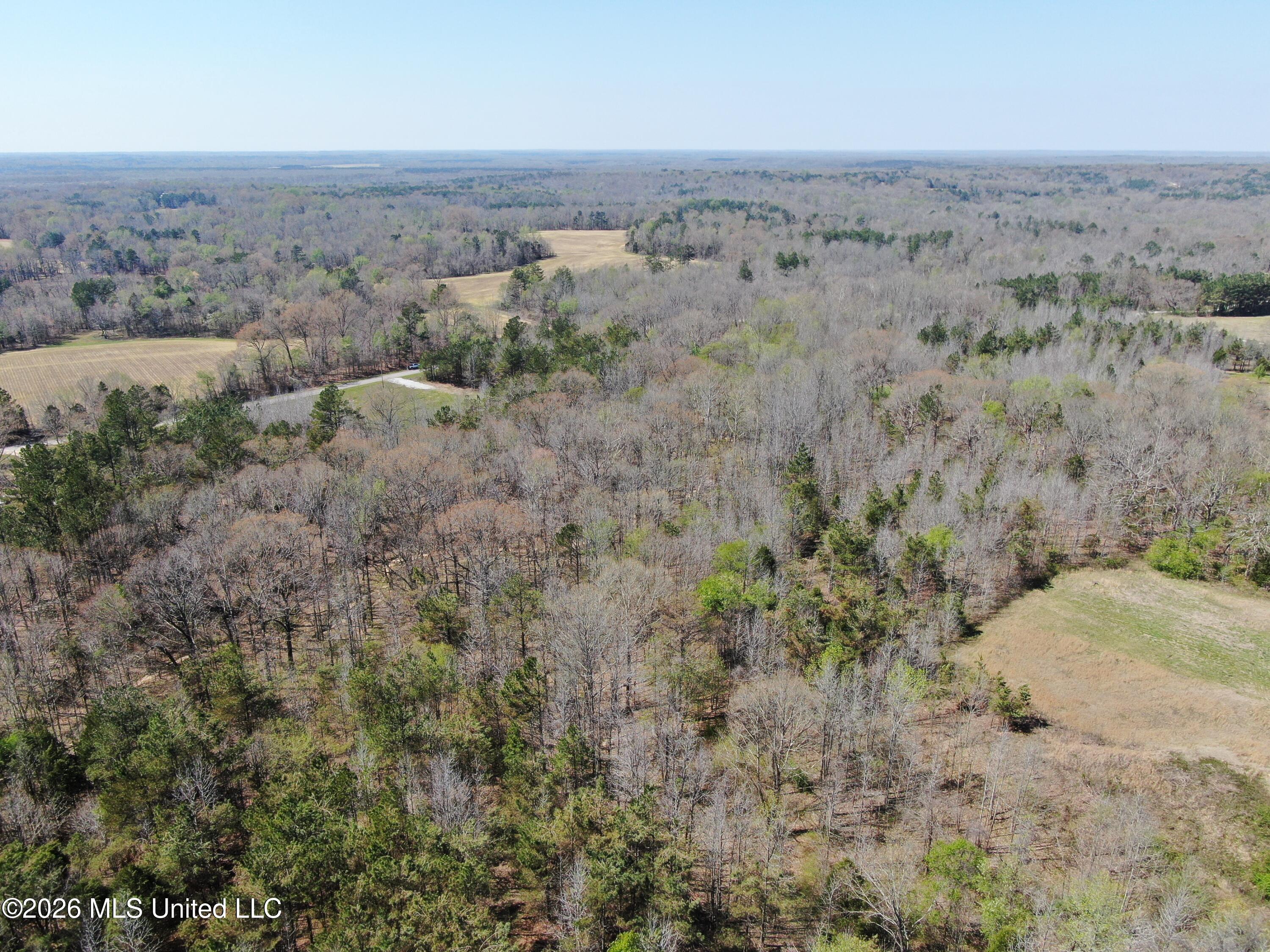 1200 Pottery Road Michigan City, MS 38647 - Photo 7 of 43 DJI_0892