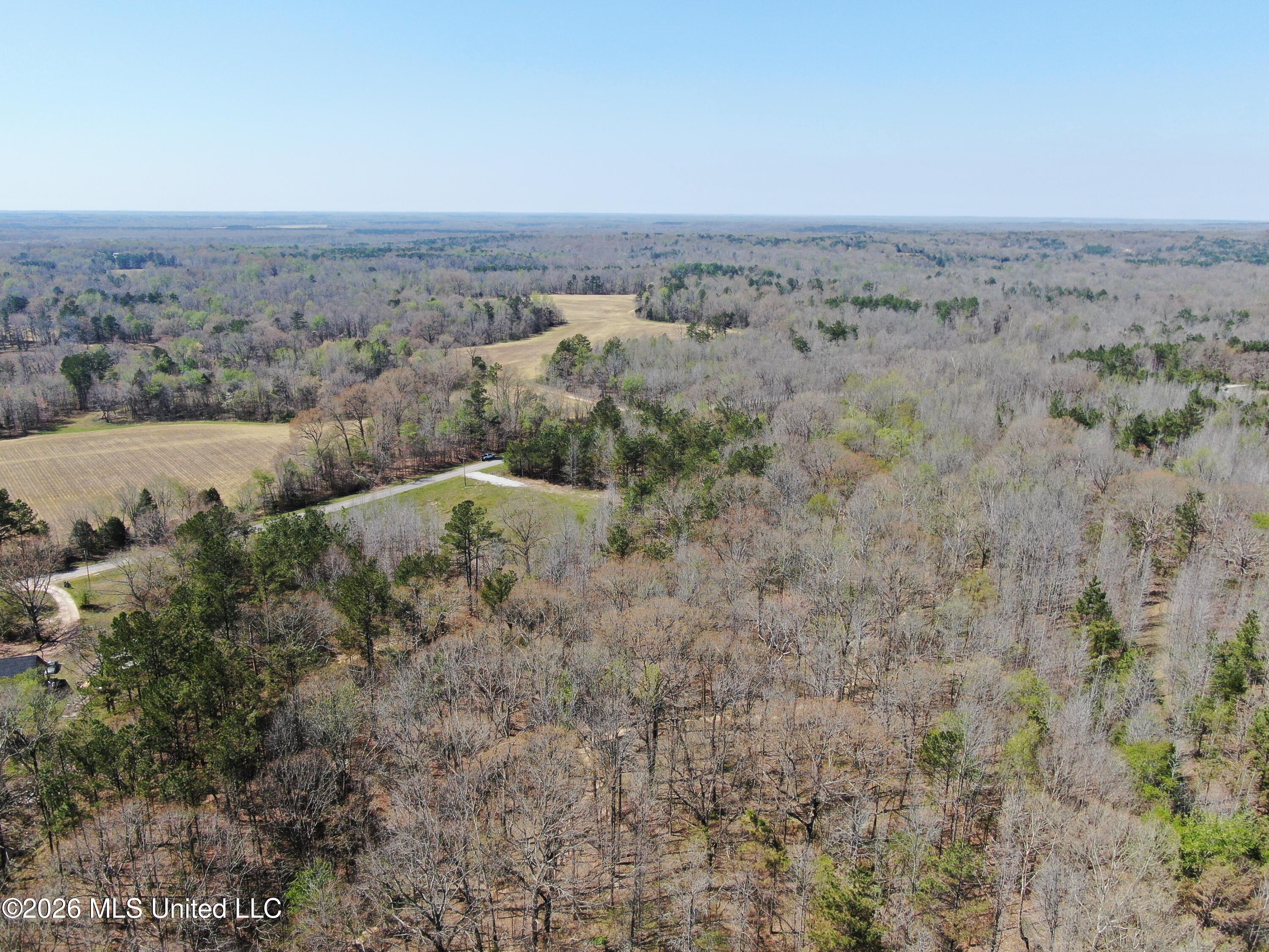 1200 Pottery Road Michigan City, MS 38647 - Photo 8 of 43 DJI_0893