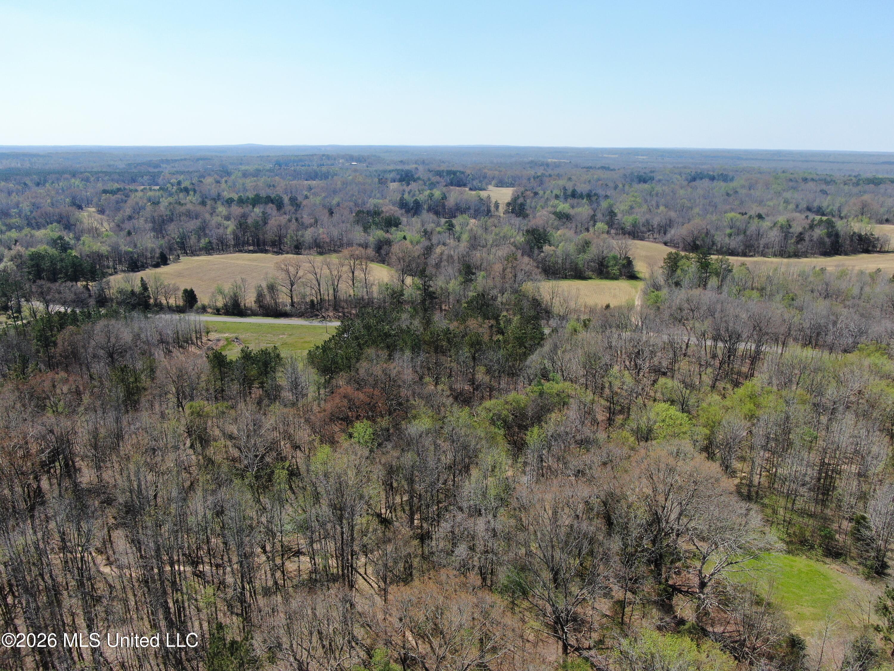 1200 Pottery Road Michigan City, MS 38647 - Photo 9 of 43 DJI_0894