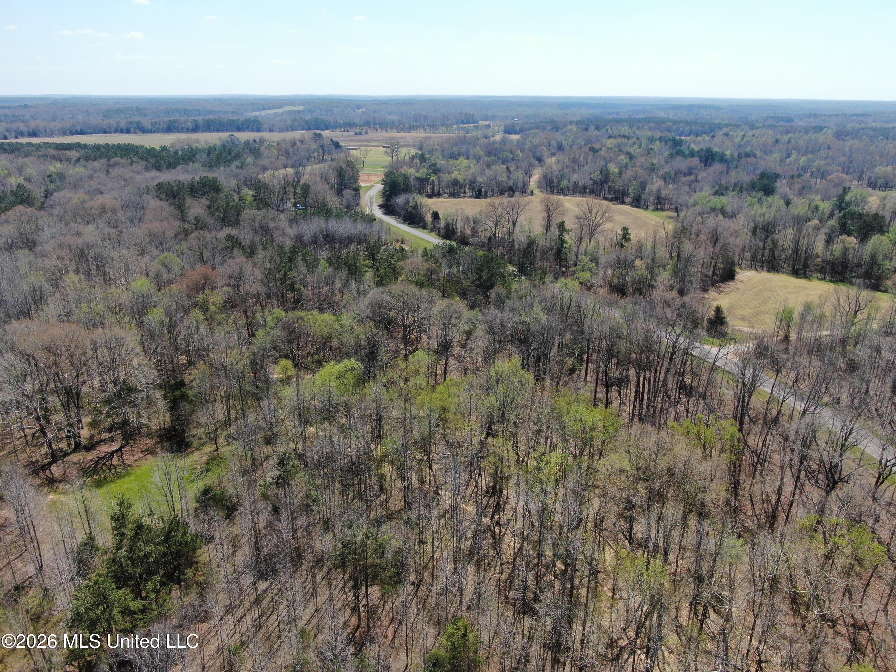 1200 Pottery Road Michigan City, MS 38647 - Photo 10 of 43 DJI_0895