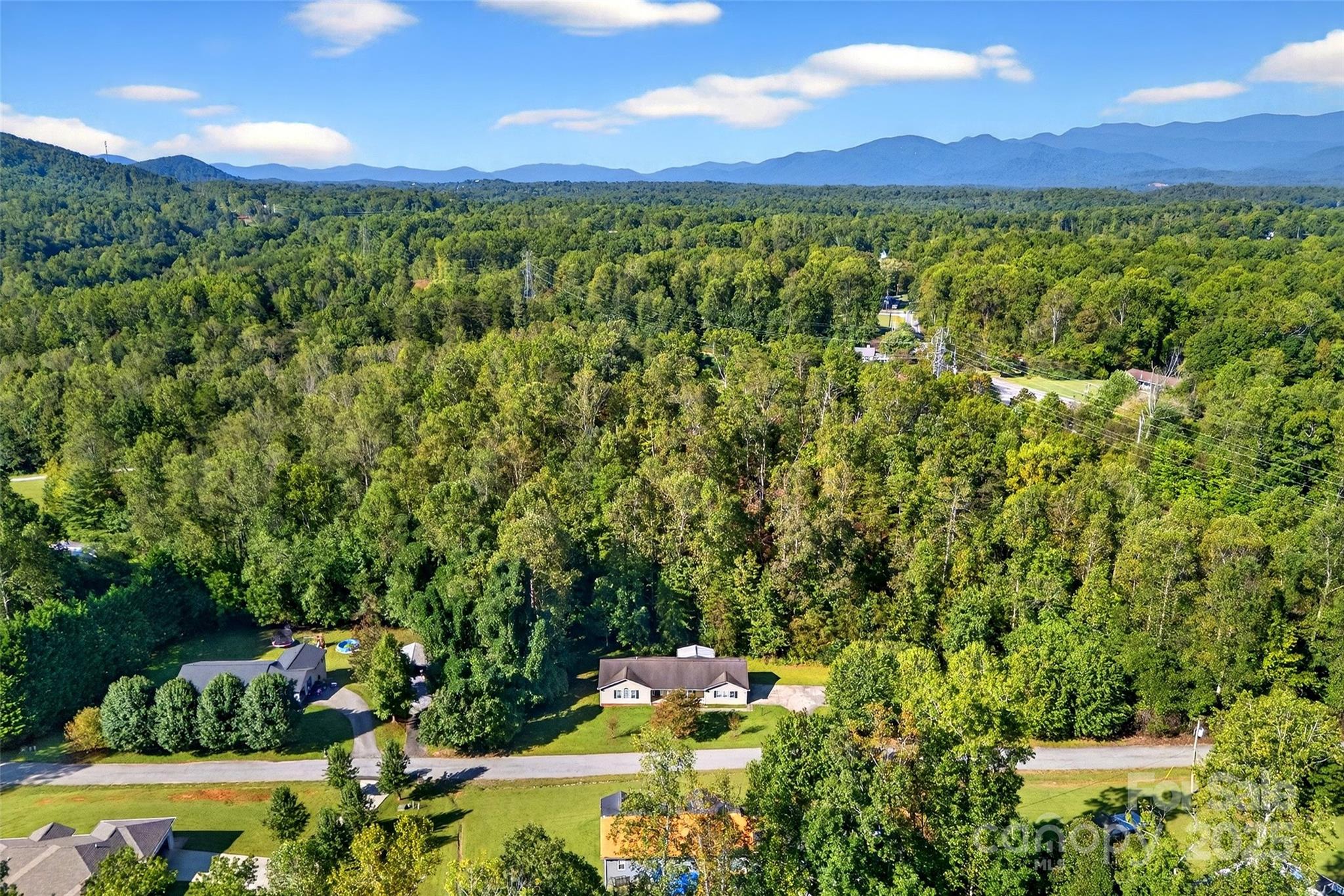 86 Springdale Drive Marion, NC 28752 - Photo 38 of 40 a view of a lush green forest with a house in the background