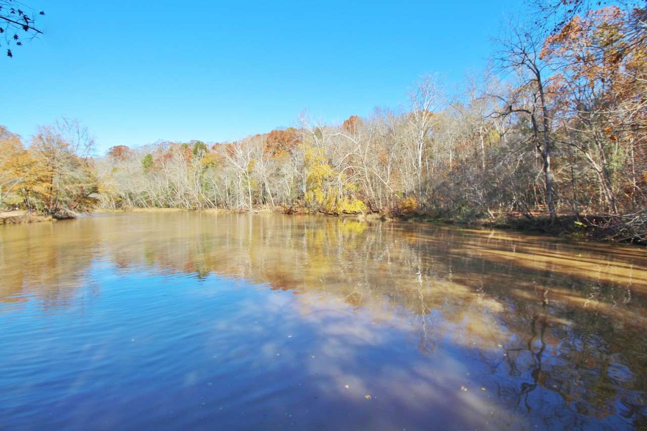 320 Lynch Road Enoree, SC 29335 - Photo 32 of 36 Gallery Image 32