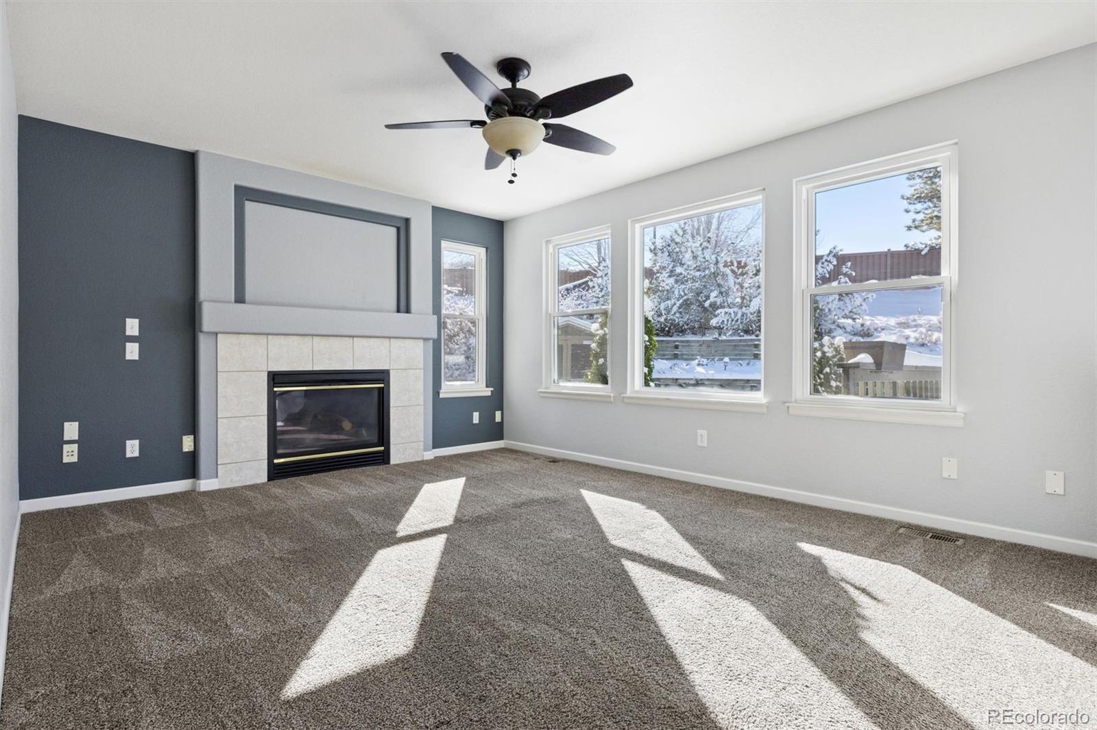 508 West English Sparrow Trail Highlands Ranch, CO 80129 - Photo 12 of 29