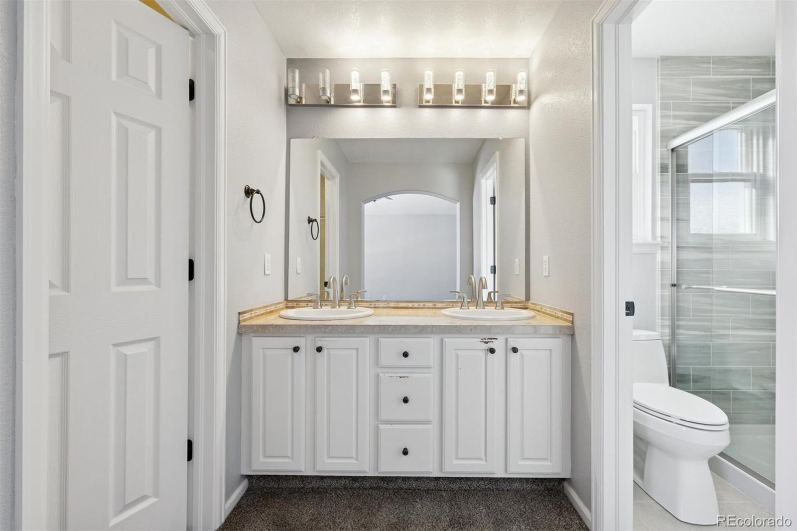 508 West English Sparrow Trail Highlands Ranch, CO 80129 - Photo 17 of 29