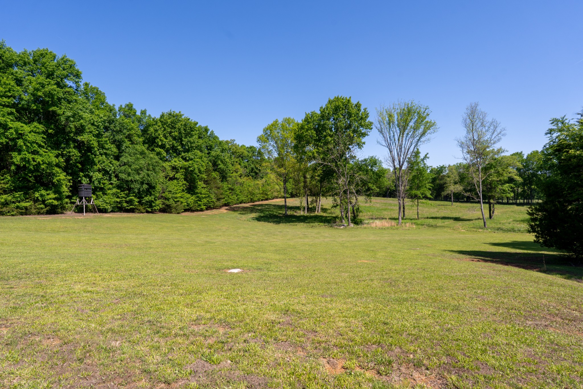 3680 Clark Road Lewisburg, TN 37091 - Photo 33 of 97 Gallery Image 33