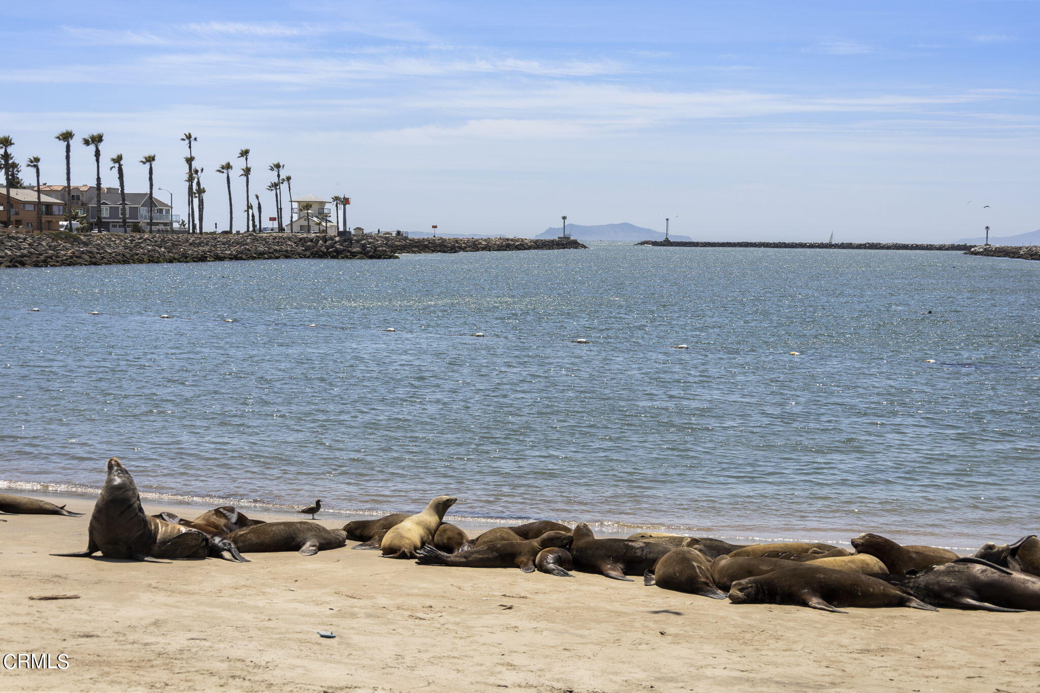 124 Ocean Drive Oxnard, CA 93035 - Photo 53 of 53 a view of terrace with city view