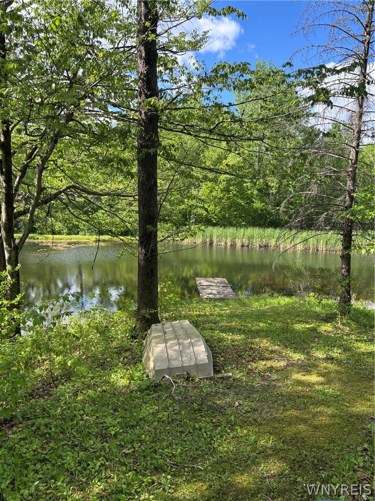 10147 Savage Road Sardinia, NY 14080 - Photo 16 of 21