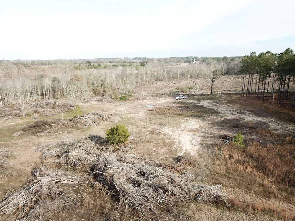 20-acres Hudson Road Columbia, AL 36319 - Photo 9 of 40