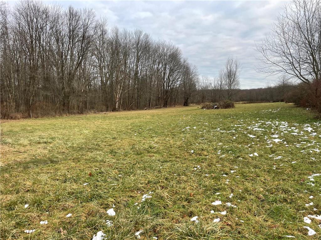 616 Methodist Road Greenville, PA 16125 - Photo 40 of 42 a view of a yard with an trees