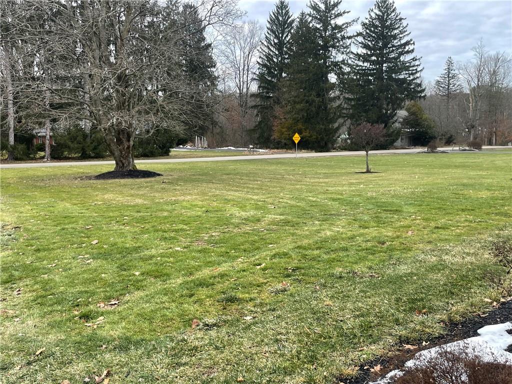 616 Methodist Road Greenville, PA 16125 - Photo 4 of 42 a view of a tree in a yard