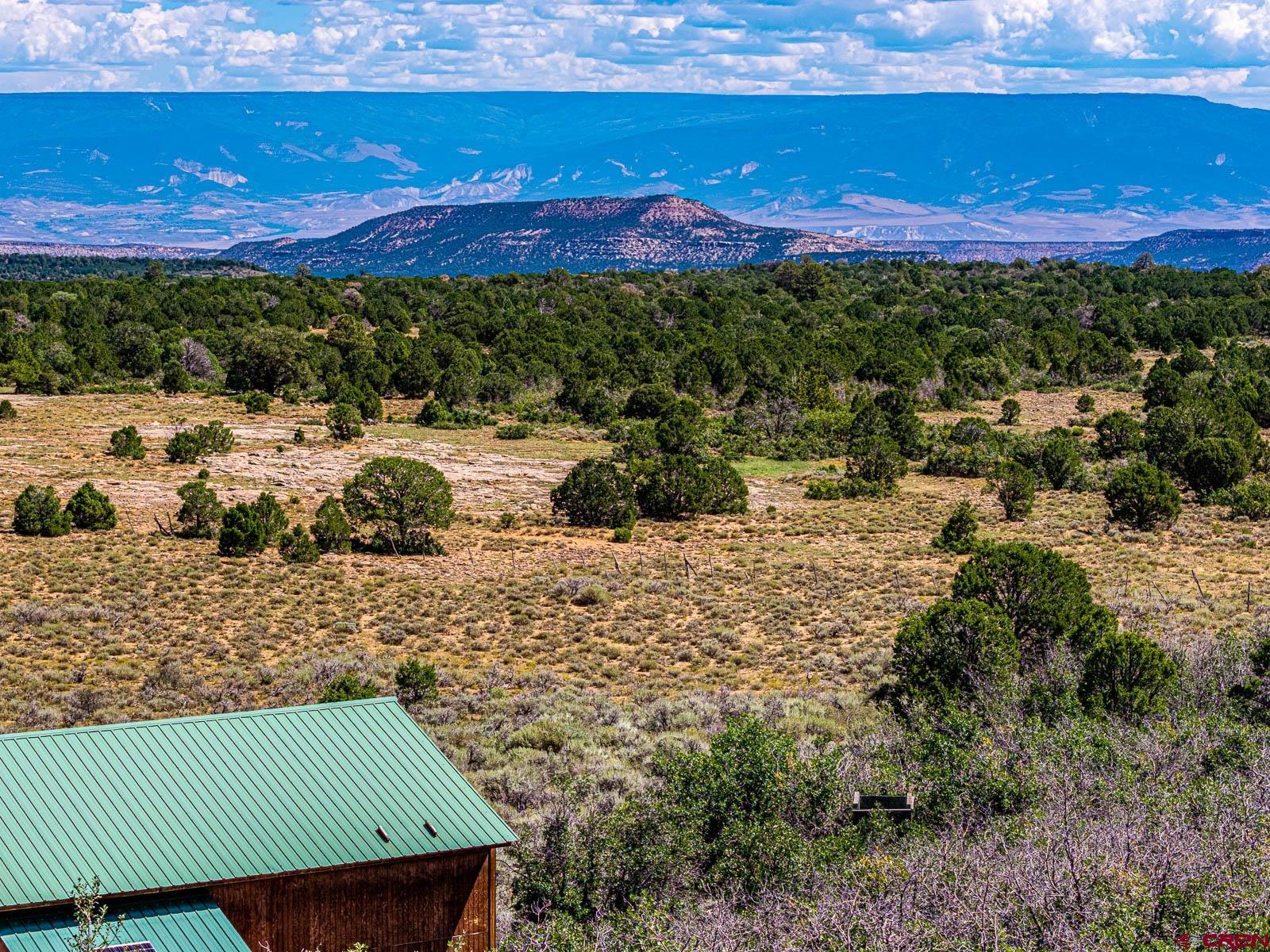 6519 Uncompahgre Divide Road Whitewater, CO 81527 - Photo 26 of 30 Gallery Image 26