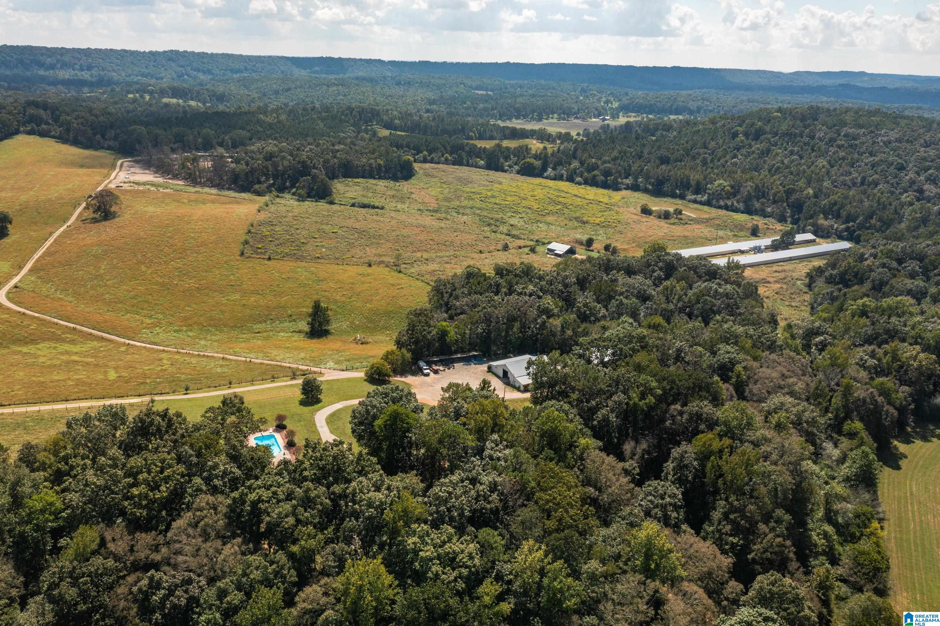 3124 County Road 39 Oneonta, AL 35121 - Photo 90 of 98