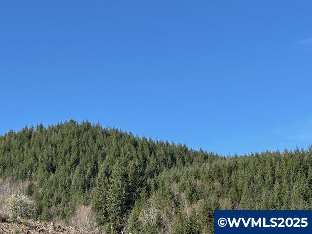 0 Logsden Road Blodgett, OR 97326 - Photo 3 of 24