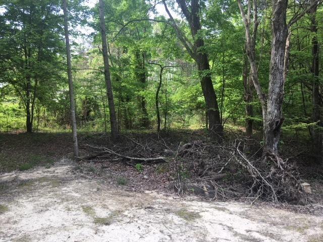Lot 21 Speedwell Road Bulls Gap, TN 37711 - Photo 3 of 10 20180505095643466099000000-o