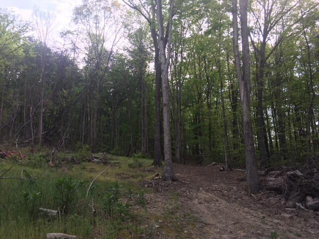 Lot 21 Speedwell Road Bulls Gap, TN 37711 - Photo 5 of 10 20180505095648493953000000-o