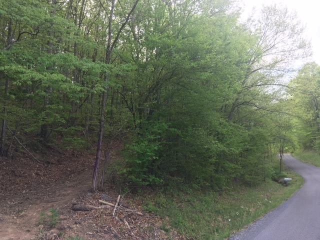 Lot 21 Speedwell Road Bulls Gap, TN 37711 - Photo 9 of 10 20180505095701228931000000-o