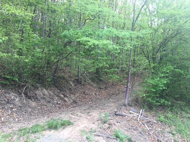 Lot 21 Speedwell Road Bulls Gap, TN 37711 - Photo 10 of 10 20180505095704091731000000-o