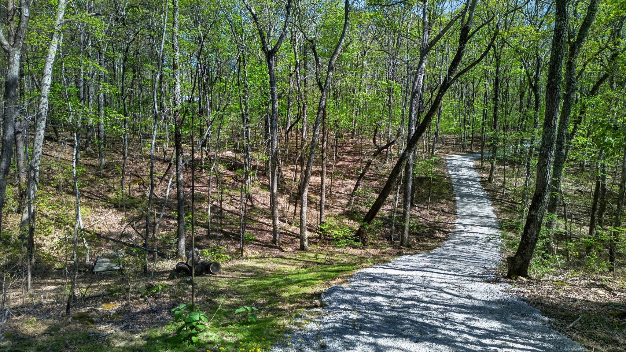 2076 Timberwood Trace Monteagle, TN 37356 - Photo 17 of 23 a backyard of a house with lots of green space