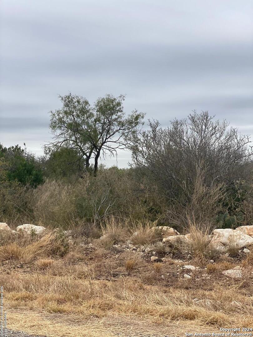 343 Legend Hills Uvalde, TX 78801 - Photo 4 of 4