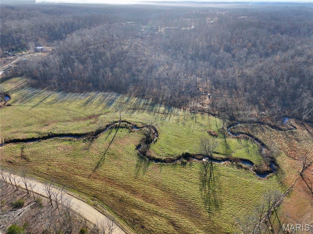 0 South Of Co Road Poplar Bluff, MO 63901 - Photo 3 of 16