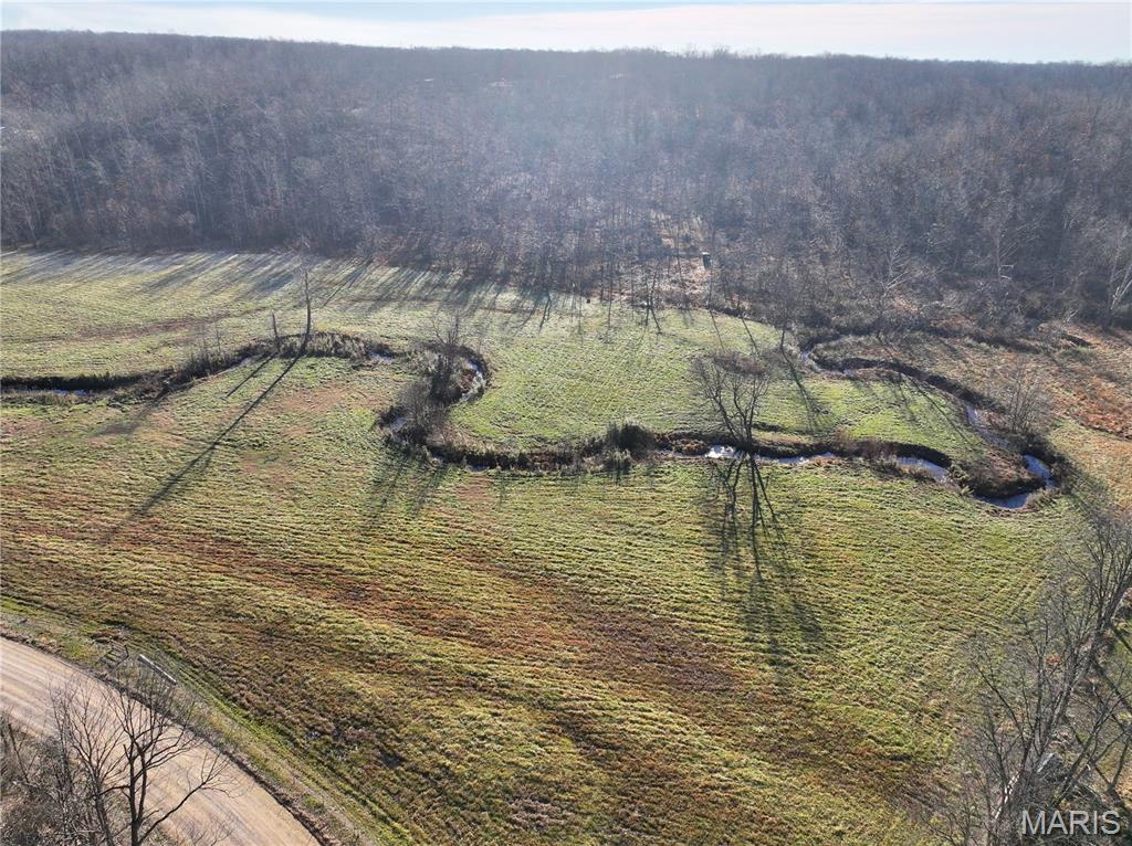 0 South Of Co Road Poplar Bluff, MO 63901 - Photo 8 of 16