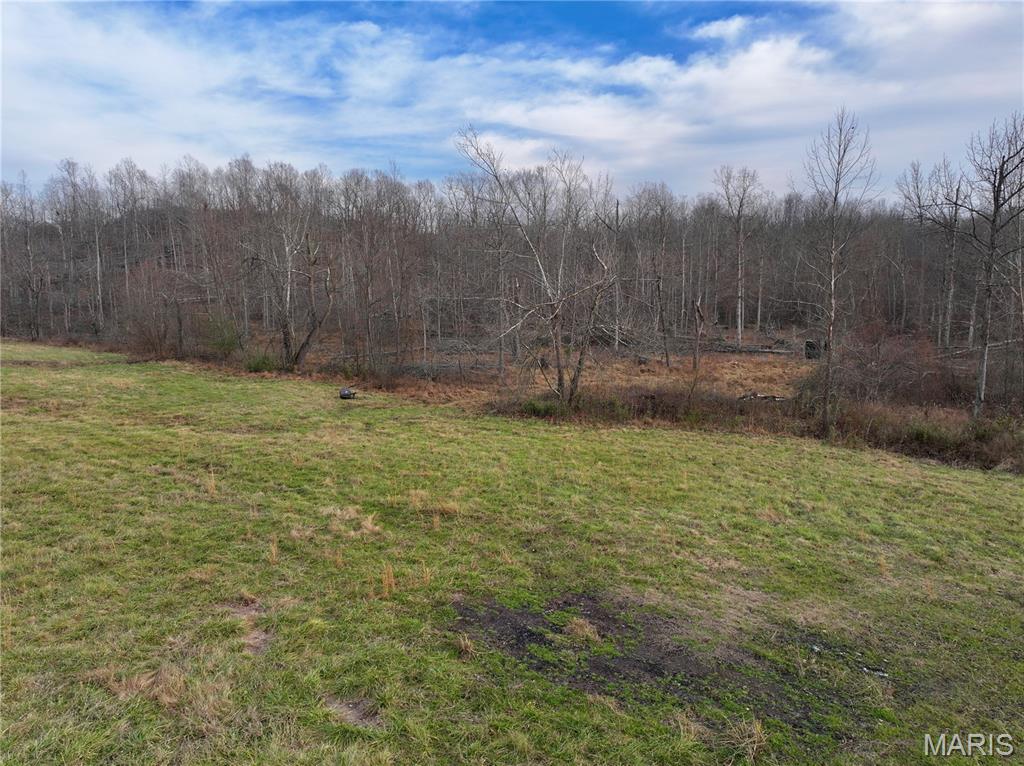 0 South Of Co Road Poplar Bluff, MO 63901 - Photo 10 of 16