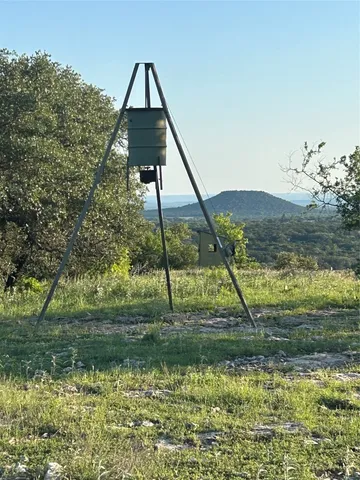 a living room with furniture a fireplace and a chandelier