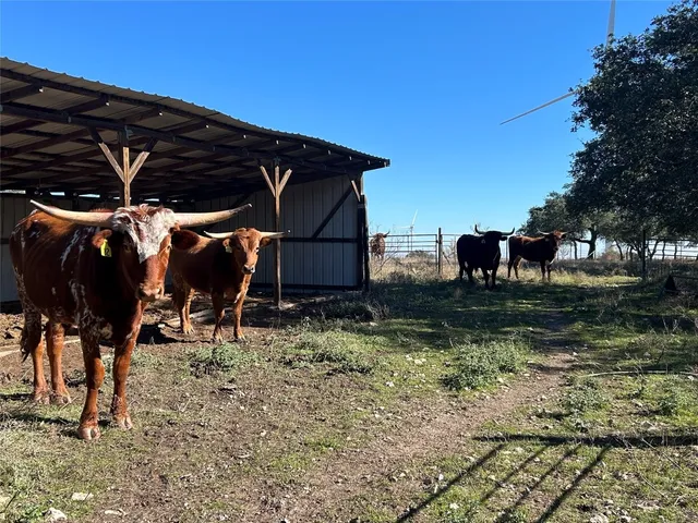 $1,150,000 | 151 County Road 317, Goldthwaite, TX 76844