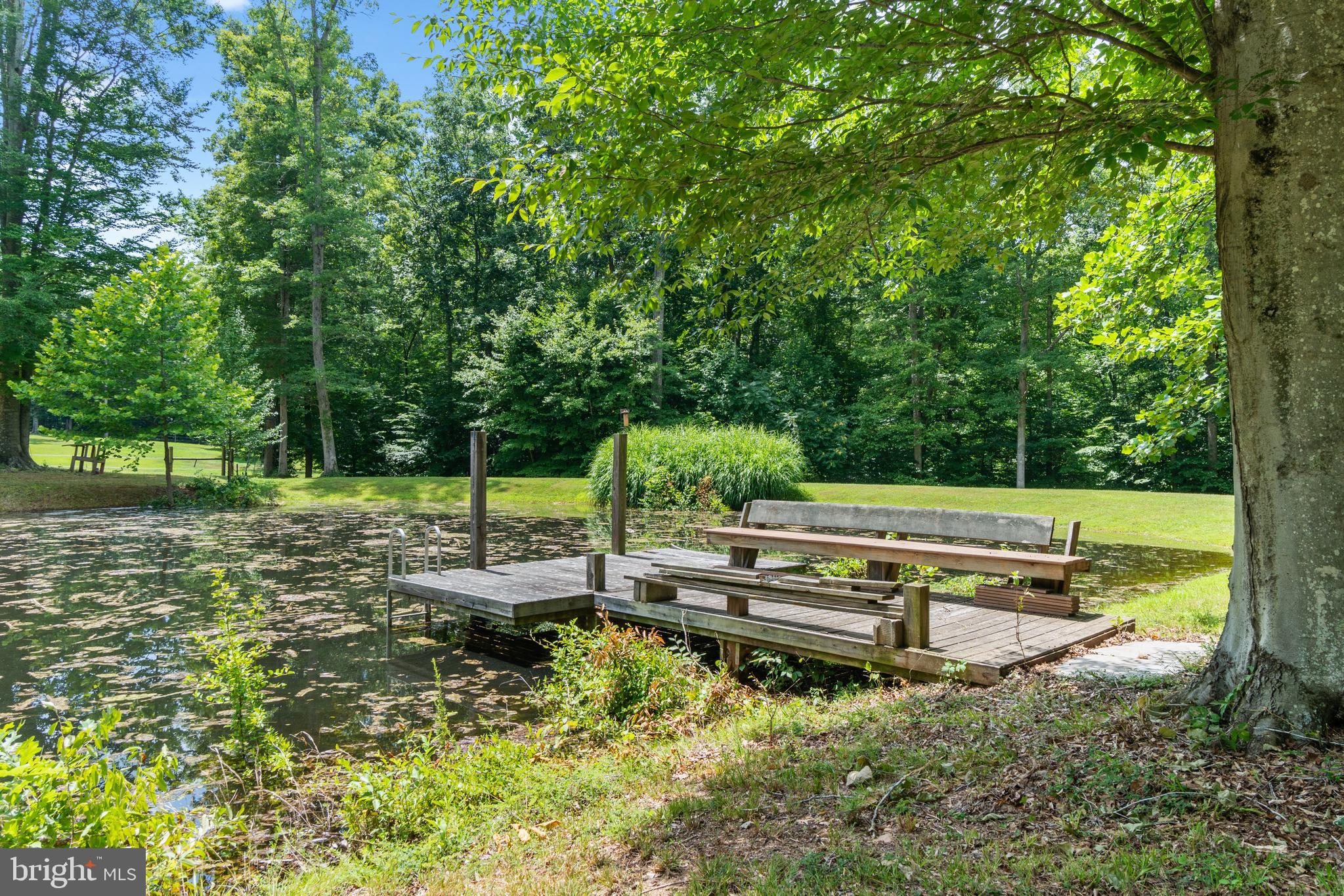 4323 Mt Ephraim Road Sumerduck, VA 22742 - Photo 20 of 57 Gallery Image 20