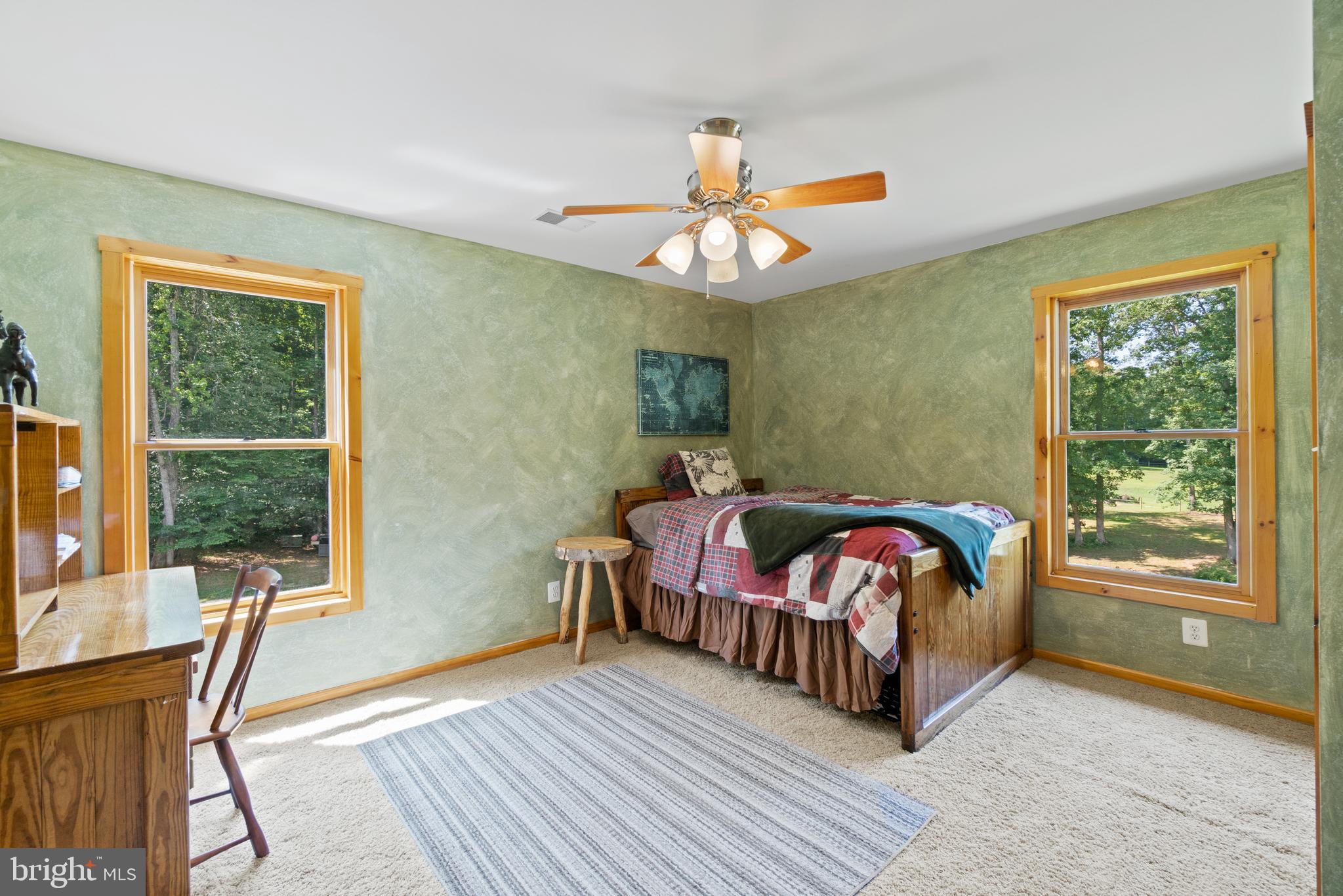 4323 Mt Ephraim Road Sumerduck, VA 22742 - Photo 34 of 57 Gallery Image 34