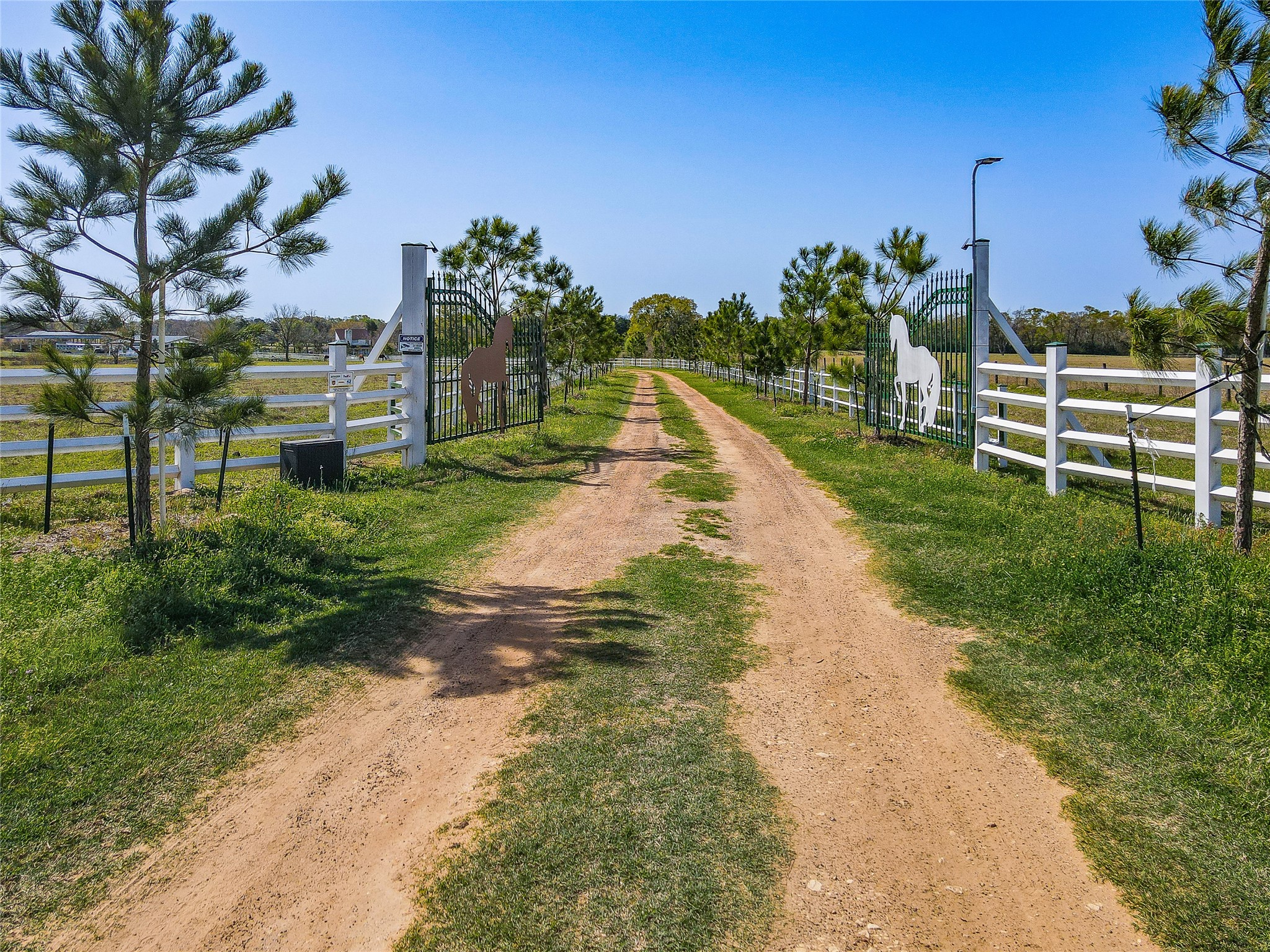 52825 Highway 290 Hempstead, TX 77445 - Photo 5 of 6 a view of a yard with palm trees