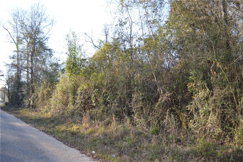 0 Bateman Road Franklinton, LA 70438 - Photo 5 of 10 Gallery Image 5