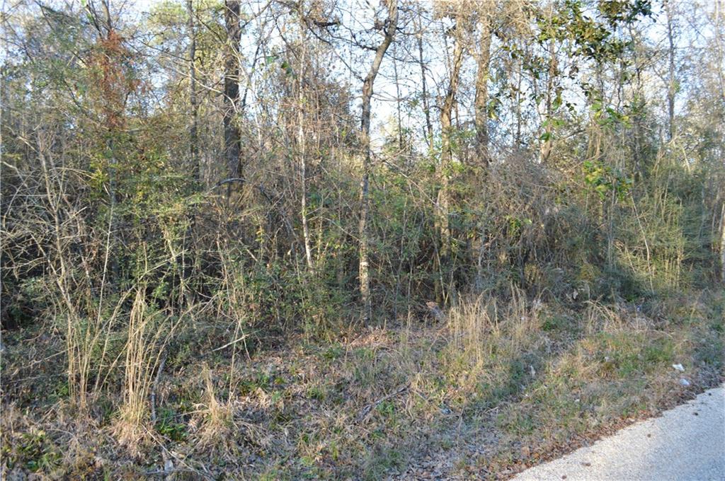 0 Bateman Road Franklinton, LA 70438 - Photo 6 of 10 Gallery Image 6