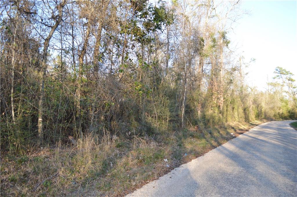 0 Bateman Road Franklinton, LA 70438 - Photo 7 of 10 Gallery Image 7