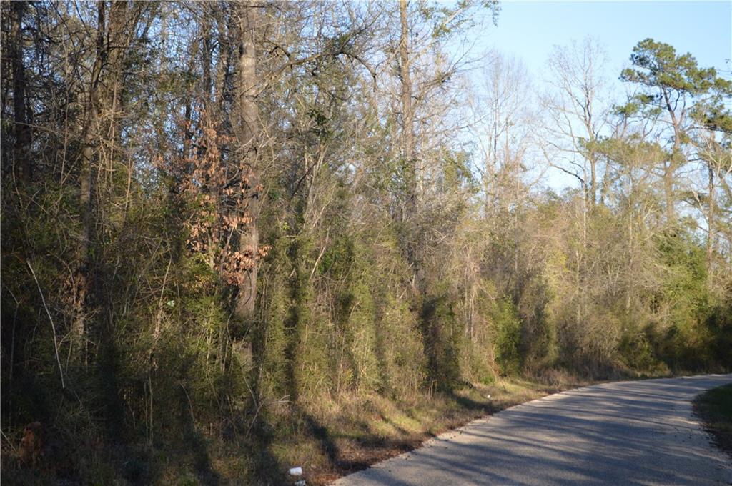 0 Bateman Road Franklinton, LA 70438 - Photo 8 of 10 Gallery Image 8
