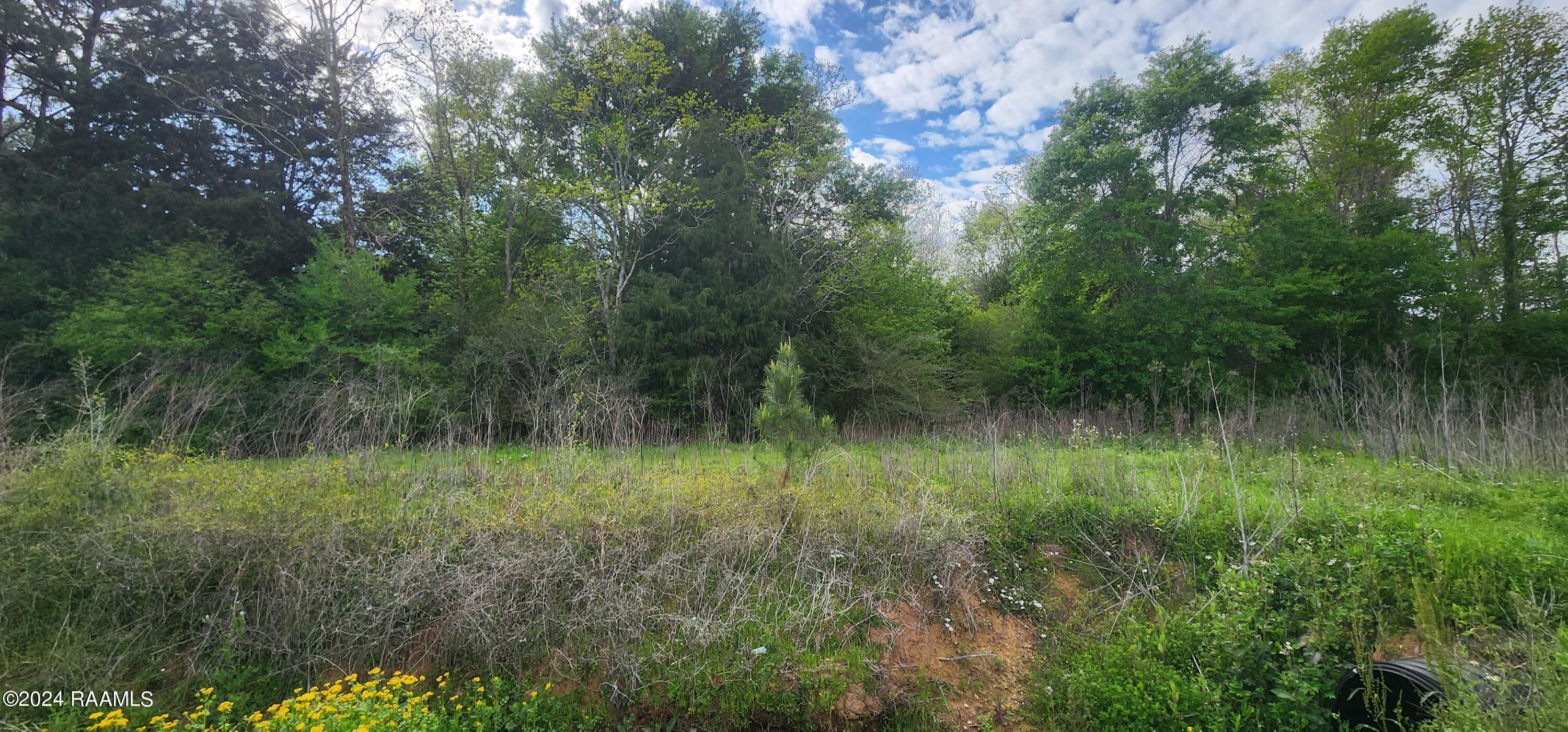 Tbd Tbd Tepetate Road Eunice, LA 70535 - Photo 3 of 3