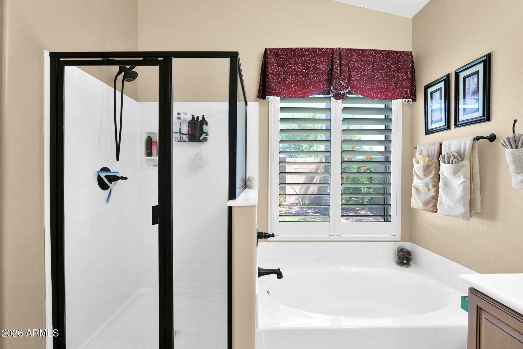 9850 Cotton Road Florence, AZ 85132 - Photo 27 of 47 9850 Cotton - 28Primary Tub and Shower