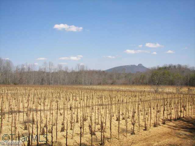 0 Reeves Road Siloam, NC 27047 - Photo 2 of 8 Land/Lot.
