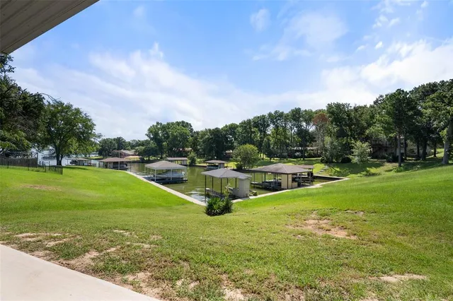 a view of a park with large trees