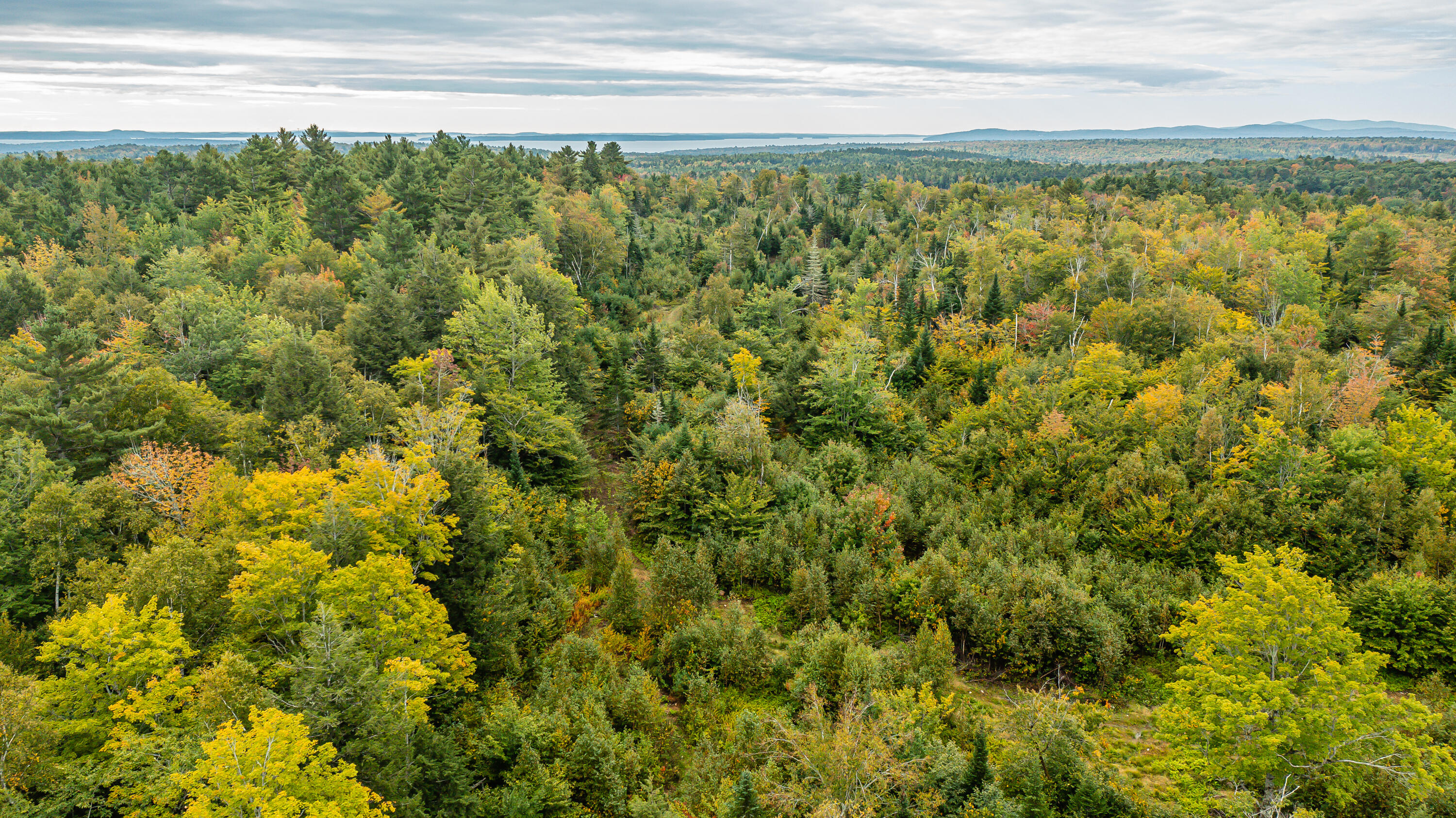0 Bog Hill Road Searsport, ME 04974 - Photo 9 of 15 0171