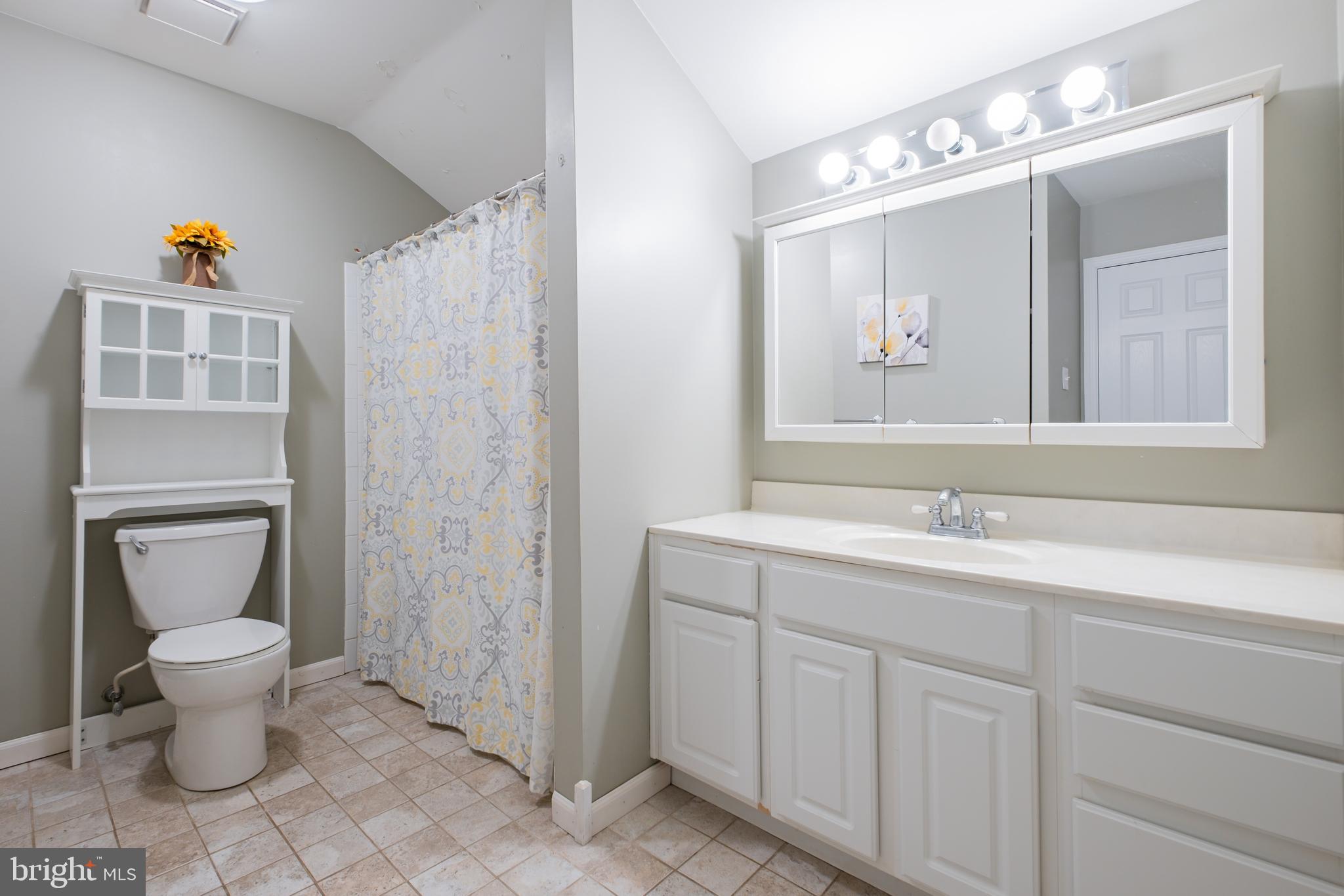 127 Heath Road Medford, NJ 08055 - Photo 44 of 63 a bathroom with a toilet sink and mirror