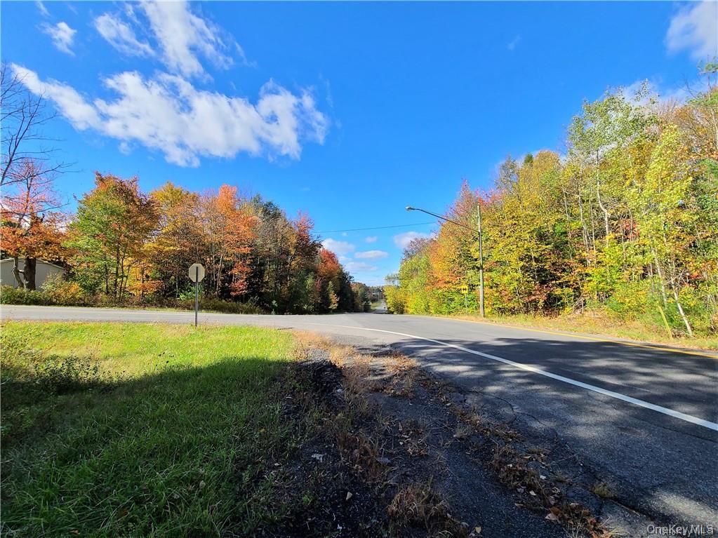 Lot 5.4 Kaufman Road Monticello, NY 12701 - Photo 18 of 45