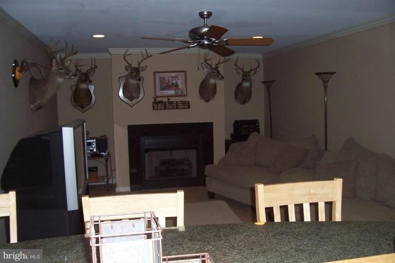 14011 Reva Road Boston, VA 22713 - Photo 10 of 18 a living room with furniture and a fireplace