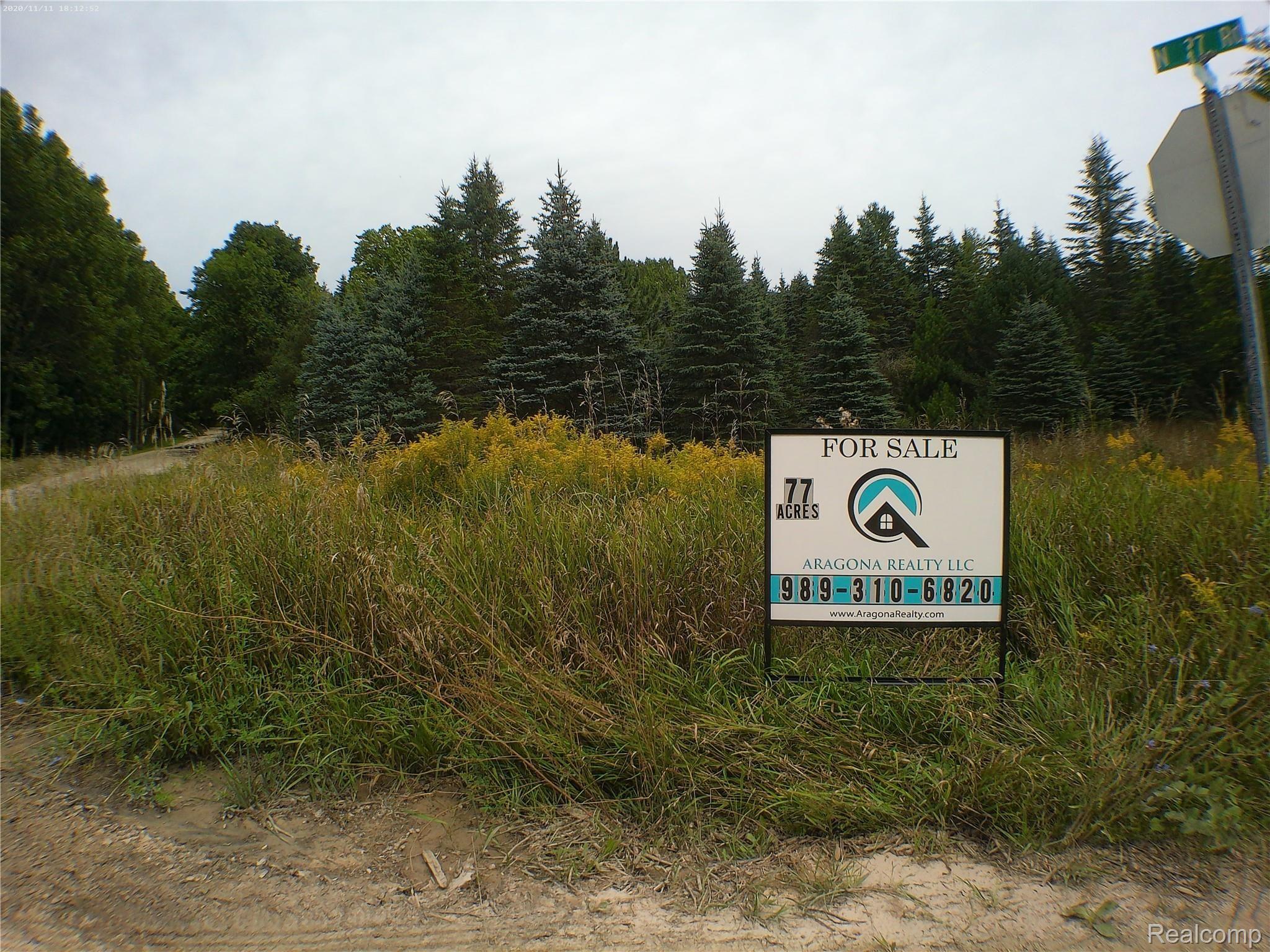 0 North 27th Road Mesick, MI 49668 - Photo 14 of 14 ANMP0237.jpg