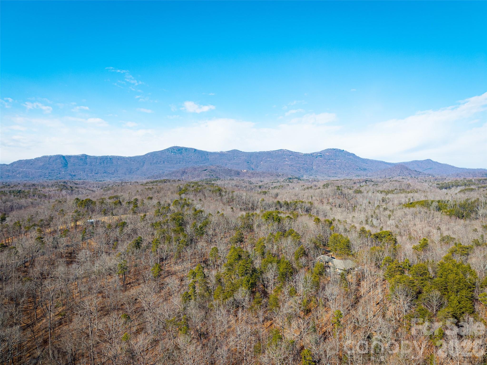 Tbd Rondo Ridge Road Tryon, NC 28782 - Photo 17 of 21 a view of a large mountain with a mountain in the background