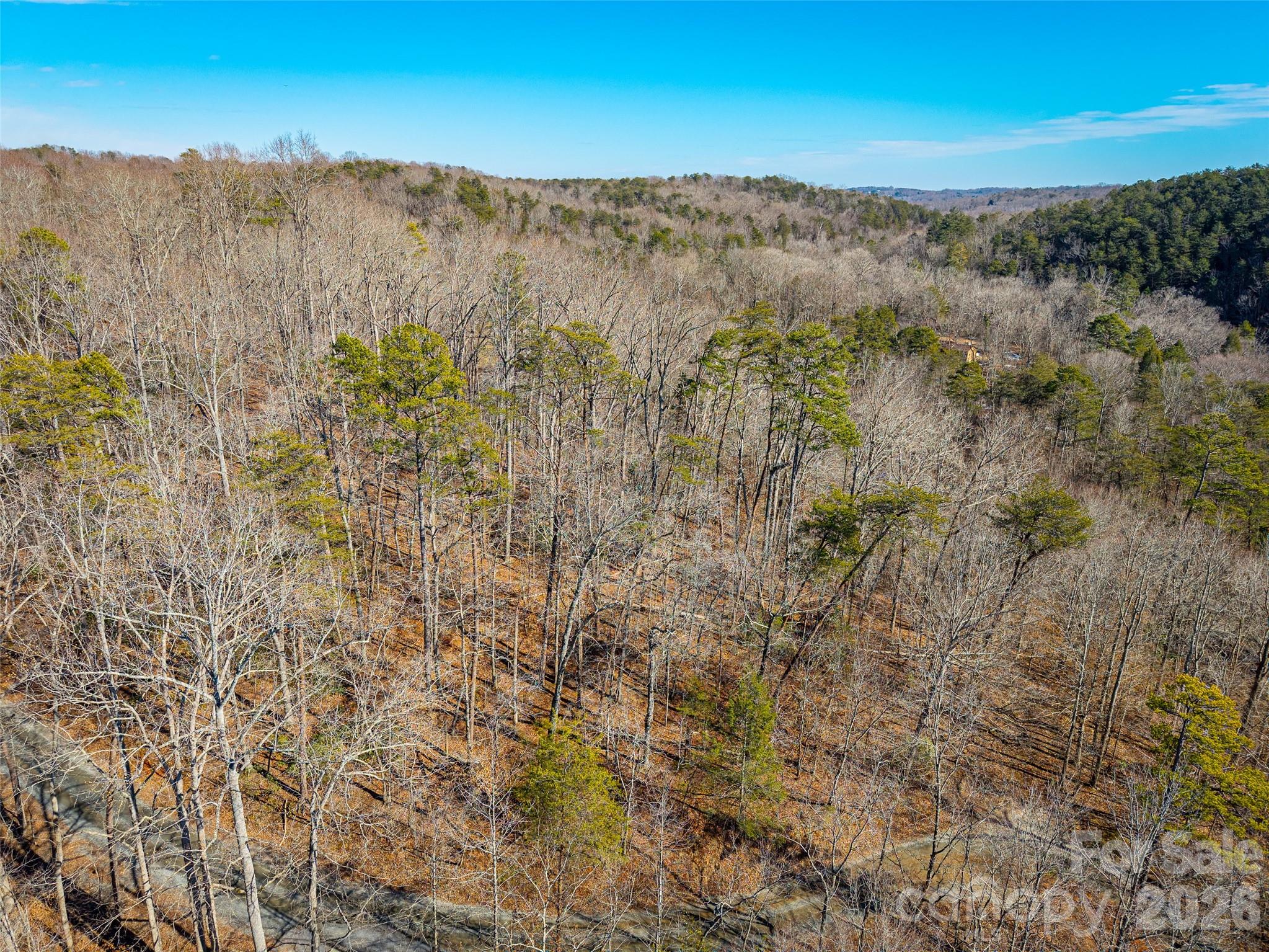 Tbd Rondo Ridge Road Tryon, NC 28782 - Photo 7 of 21 a view of mountain view with mountains in the background